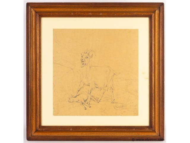 Tekening - afbeelding 1 van  5