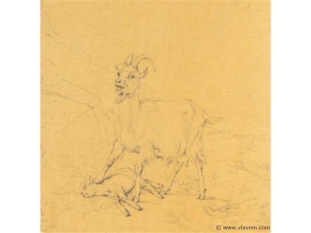 Tekening - afbeelding 2 van  5