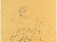 Tekening - afbeelding 2 van  5