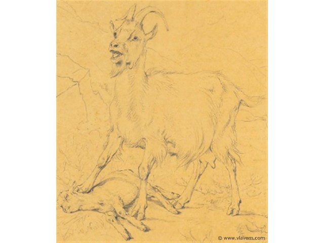 Tekening - afbeelding 4 van  5