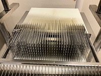 Tender star vermalser - afbeelding 3 van  3