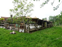 Tent - afbeelding 1 van  20