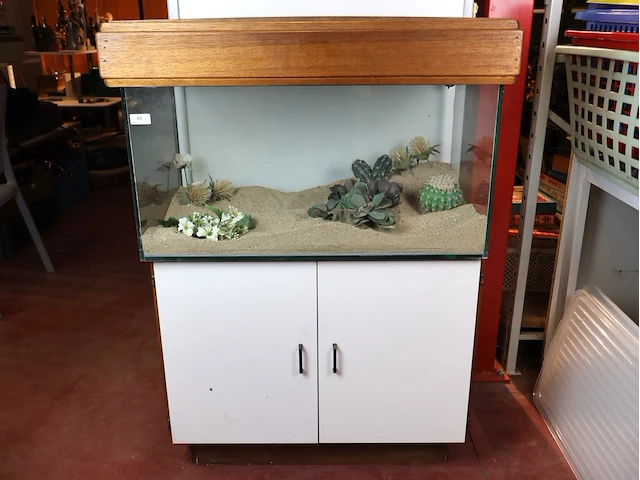 Terrarium op meubel - afbeelding 1 van  10