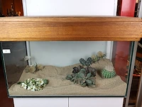 Terrarium op meubel - afbeelding 2 van  10