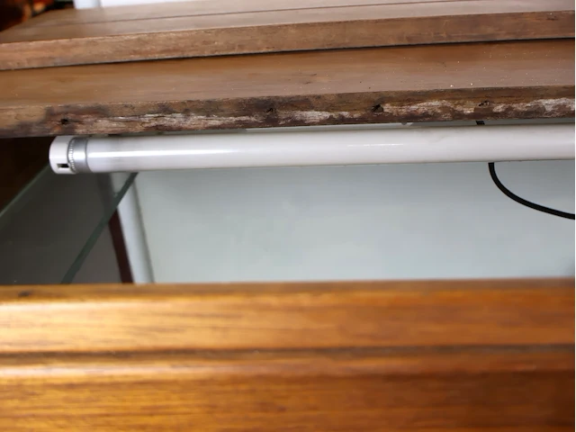 Terrarium op meubel - afbeelding 3 van  10