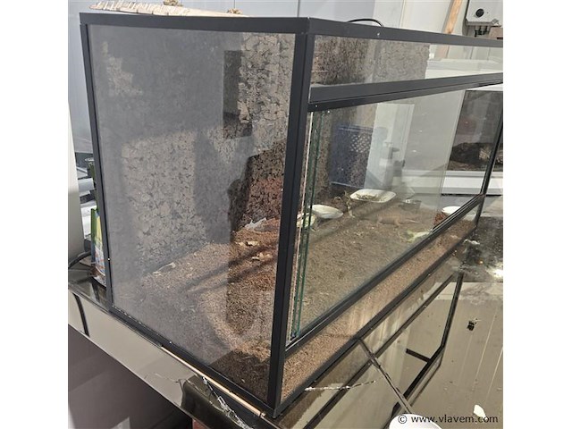 Terrarium - afbeelding 2 van  2