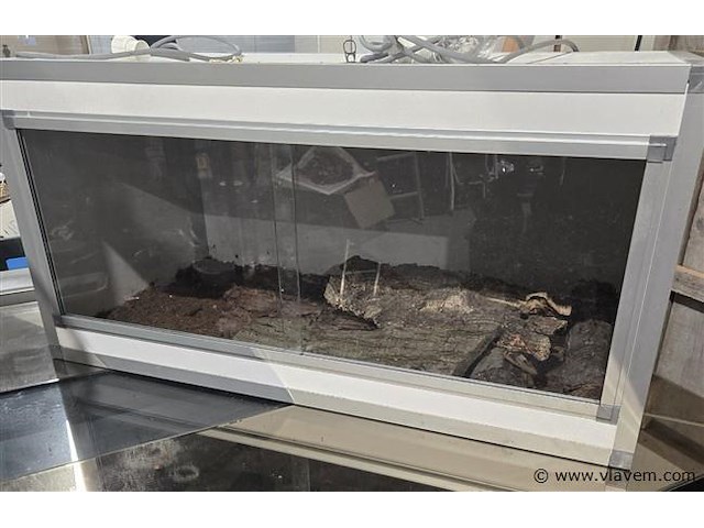 Terrarium - afbeelding 1 van  2