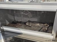 Terrarium - afbeelding 1 van  2