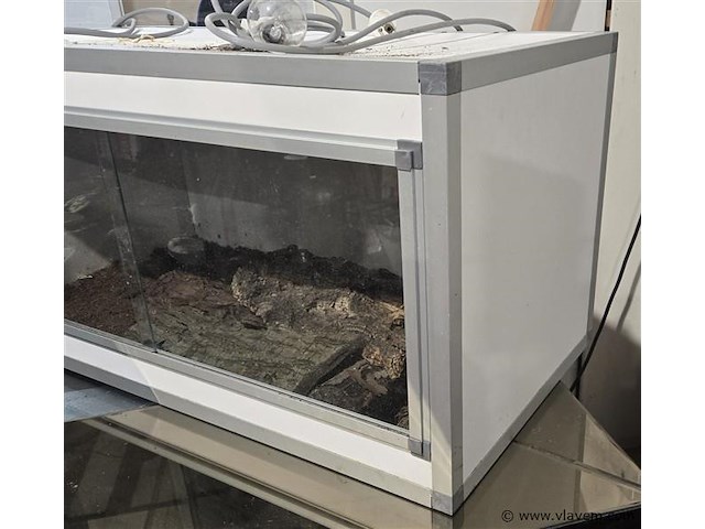 Terrarium - afbeelding 2 van  2