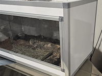 Terrarium - afbeelding 2 van  2