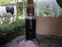 Terrasstraaler op gas - afbeelding 1 van  4