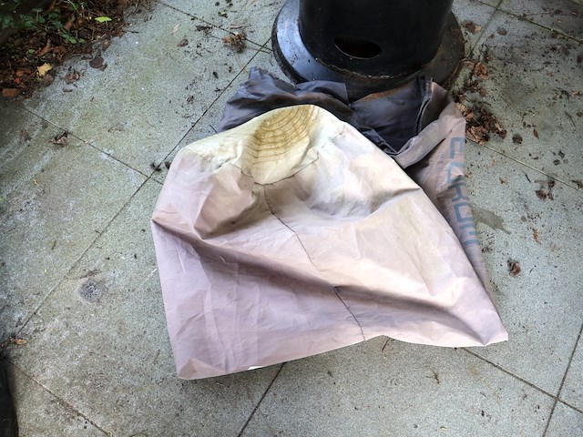 Terrasstraaler op gas - afbeelding 4 van  4