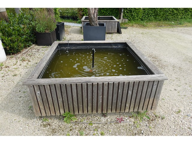 Terrasvijver met fontijn - afbeelding 1 van  3