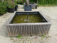 Terrasvijver met fontijn - afbeelding 1 van  3