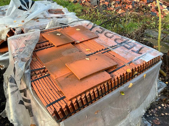 Terreal tegelpannen (1250x) - afbeelding 2 van  6