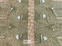 Textiel, r. cools, wandkleed - afbeelding 2 van  2
