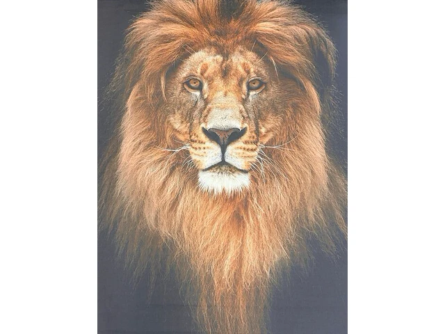 Textiel wandkleed met een leeuwenprint 127x108 cm (3) - afbeelding 2 van  2