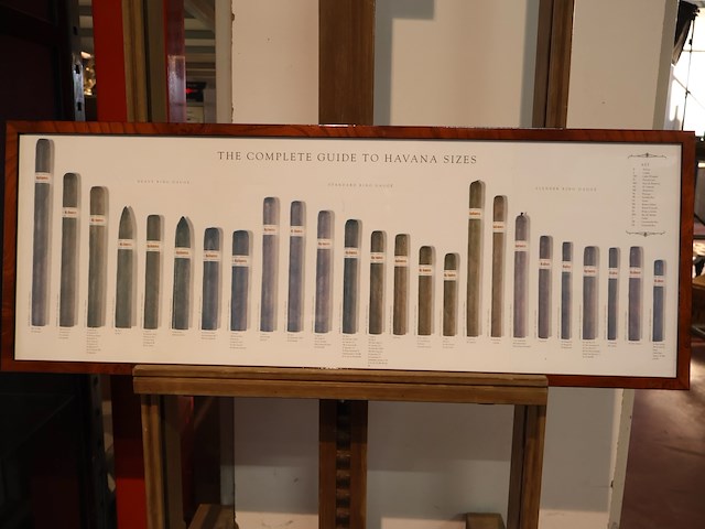The complete guide to havana sizes - afbeelding 1 van  6