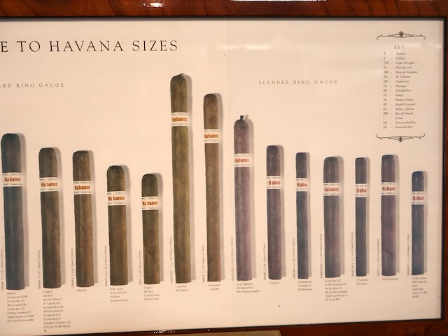 The complete guide to havana sizes - afbeelding 3 van  6