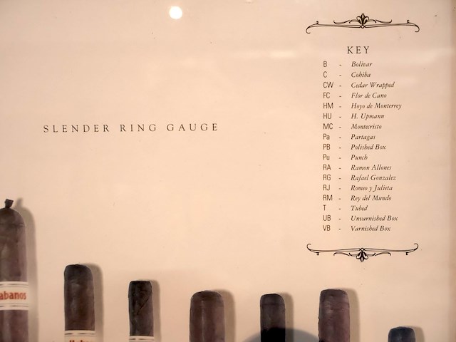 The complete guide to havana sizes - afbeelding 4 van  6