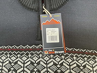 The wild stream diverse ziptop sweaters heren (16x) - afbeelding 2 van  4