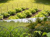 Thealyn decoratieve tuinafrastering - afbeelding 4 van  5