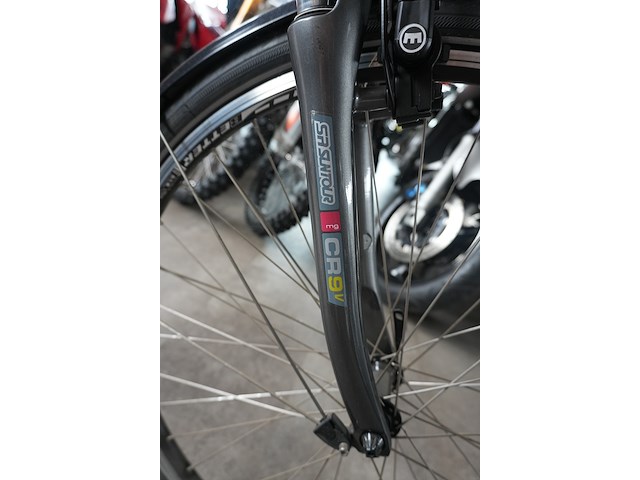 Thompson voltage elektrische fiets - afbeelding 9 van  14