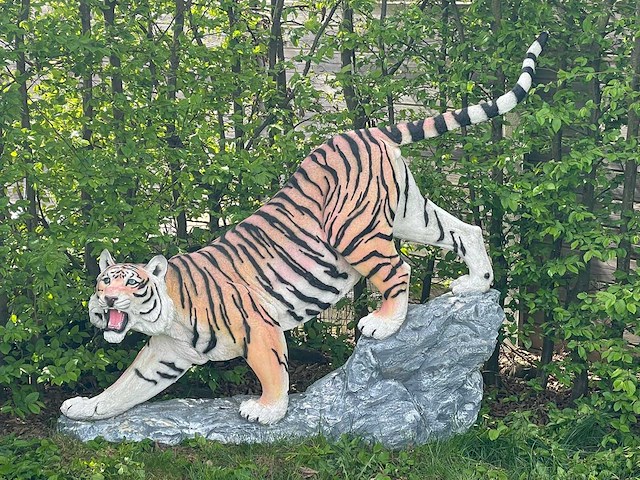 Tiger on rock h155cm x l180cm - afbeelding 1 van  1