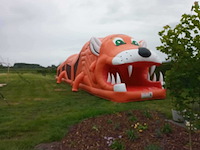 Tijger mega 20m nieuw - afbeelding 2 van  2