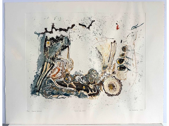 Tim hinterding - let it come down - kleurenets - 50x65cm - 1990 - afbeelding 3 van  8