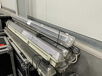 Tl-blacklight (8x) - afbeelding 2 van  3