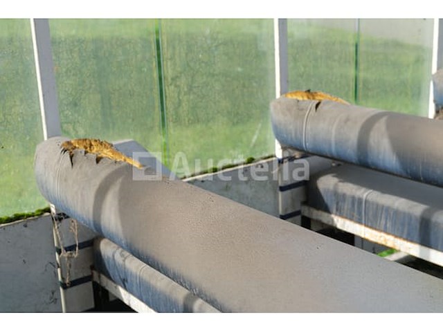 Toeristische trein (te renoveren) - afbeelding 23 van  30
