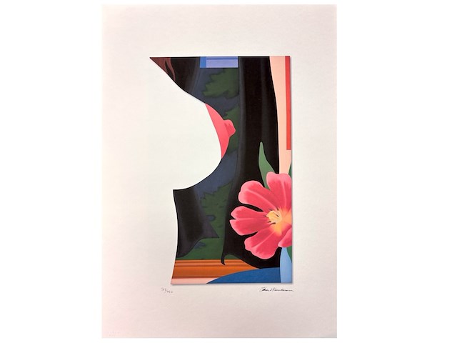 Tom wesselman - afbeelding 1 van  2