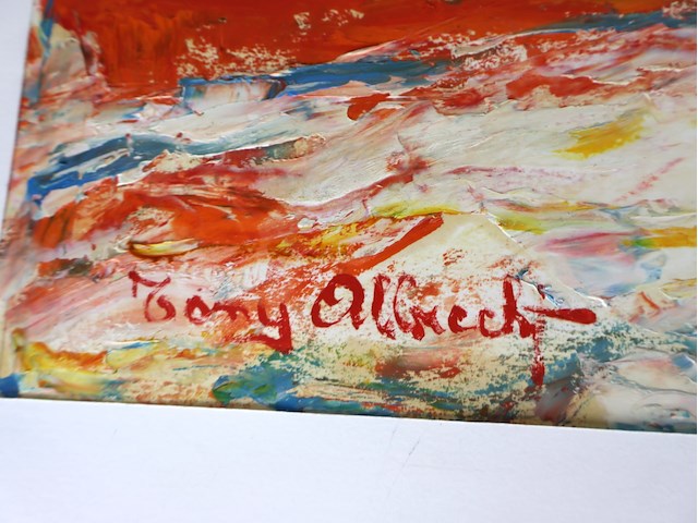 Tony albrecht (x2) - afbeelding 2 van  8