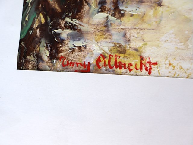 Tony albrecht (x2) - afbeelding 6 van  8