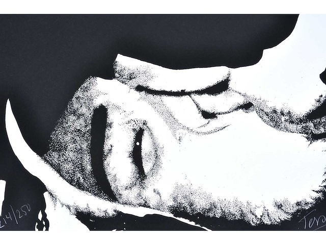 Toon tersas - zeefdruk - afbeelding 4 van  6