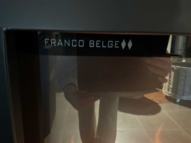 Toonzaalmodel franco belge e-monaco 150 sfeerhaard - afbeelding 4 van  8