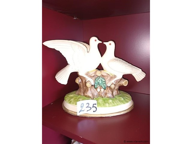 Tortelduiven - afbeelding 1 van  3