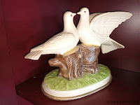 Tortelduiven - afbeelding 2 van  3