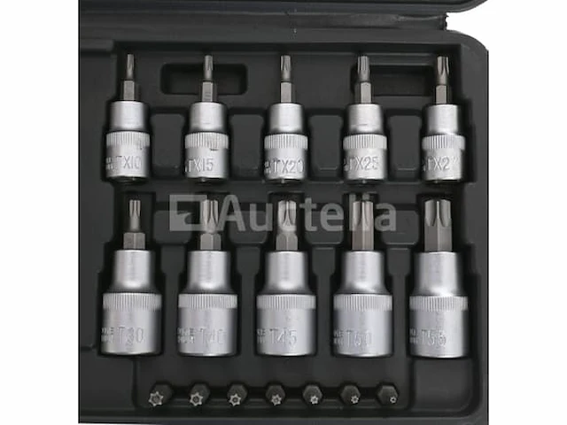 Torx cutter en socket set (30 elementen) kraft&dele - afbeelding 3 van  9