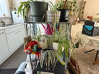 Totale inboedel woning - afbeelding 50 van  95