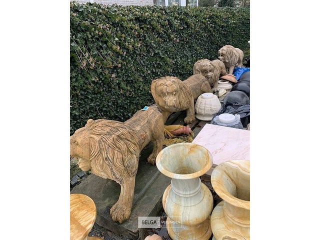 Totaliteit van kavel 11 tem 13 - afbeelding 9 van  9