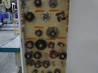 Toupie griggio - afbeelding 3 van  14