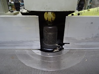 Toupie griggio - afbeelding 9 van  14