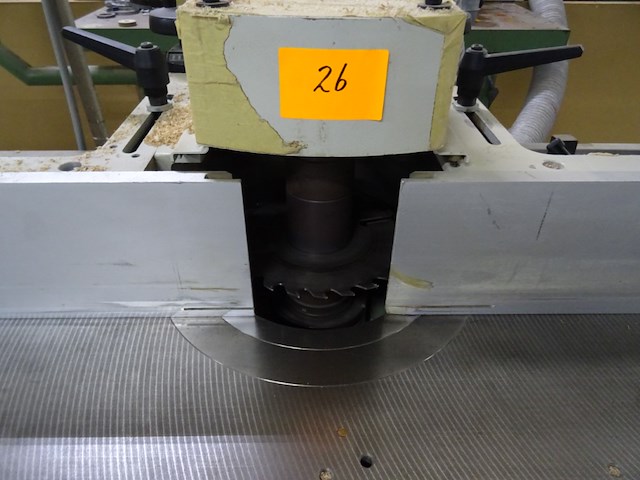 Toupie griggio - afbeelding 6 van  11