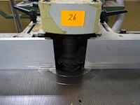 Toupie griggio - afbeelding 6 van  11