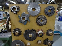 Toupie griggio - afbeelding 10 van  11