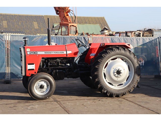 Tractor massey ferguson 290 diesel 61kw nieuw - afbeelding 1 van  1