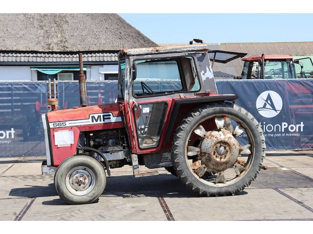 Tractor massey ferguson 565 diesel 65pk 1979 - afbeelding 1 van  1