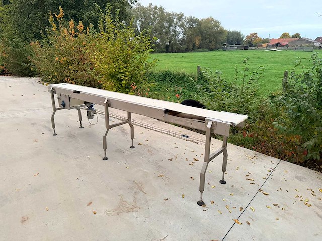 Transnorm complete koekjes transport-en verpakkingslijn - afbeelding 14 van  75